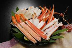 {C΂ n[t|[V 800giVAYjނg |[V^Cv