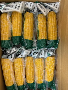  kC gg Ƃ낱 30{ oCJ[ iƉFjkCY V쌹 Ƃ낱 ^pbN ƉF Ƃ MEۍς 30{Zbg kC Ƃ R[ 