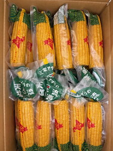  kC gg Ƃ낱 30{ F kCY V쌹 ̂ Ƃ낱 ^pbN ƉF Ƃ MEۍς 30{Zbg kC Ƃ R[ V쌹 