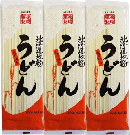 送料無料 北海道 地粉 うどん 乾麺 200g × 3袋 うどん 饂飩 ウドン 藤原製麺