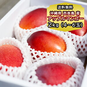 果物 ギフト マンゴー 果物 沖縄県 西表島産 アップルマンゴー 2kg（4-6玉）産地直送 フルーツ 贈答 ギフト