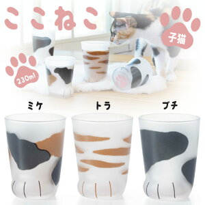 ΒˏɎqAfAOX coconeco˂qL eʁF230ml ށF~PAgAu` eʔ