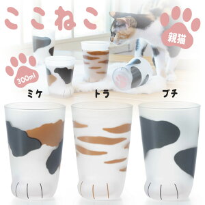 ΒˏɎqAfAOX coconeco˂eL eʁF300ml ށF~PAgAu` eʔ KX