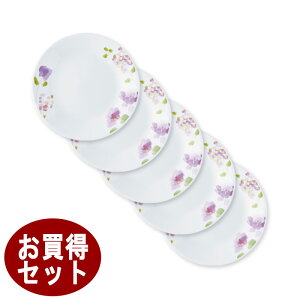 R[CORELLEoCIbg~Xg Ma17cm5g J106-VM-5 ϔMKXAJ