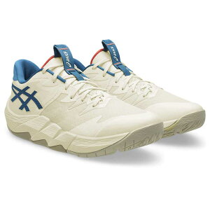 yԌ艿iz AVbNX AvAX [ 2 asics UNPRE ARS LOW 2 1063A083-750 Y oXPbg{[V[Y NEW CHALLENGE PACK 25fatbf (1063a083750) 25sfsb