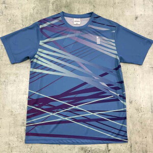 TVc TVc S[Z GOSEN jZbNX jp Ċ gsn25spyԕisz(jpt5520) 2502rtk