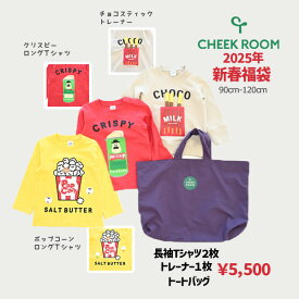 ベビールーム　チークルーム　CHEEKROOM　ハッピーバッグ　スナックセット　新春福袋（90cm・100cm・110cm・120cm）/メーカー企画 【2025福袋】男の子　女の子　乳児　幼児　幼稚園　保育園　子ども服　キッズ　ベビー　しかけ　ロンT　トレーナー