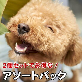 【お得なアソートパック】犬 足洗い カップ JABLLA ジャブラ 【新色登場/特許取得】 シリコン ブラシ 柔らかい 簡単 足洗い ペット グッズ 散歩 携帯 泥汚れ 清潔 肉球ケア シャワーブラシ 小型犬 中型犬 対応 犬用 猫 メディア紹介