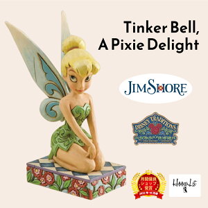 _IԗDǎܓX^  WVA eBJ[x eBN d fBYj[ l  tBMA l` u 킢  CeA AeB[N Tinker Bell, A Pixie 