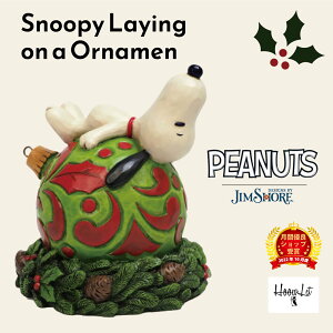 _IԗDǎܓX^ v[g Mtg I[ig  WVA Xk[s[ l  ObY tBMA 킢  CeA G g AeB[N Snoopy Layi