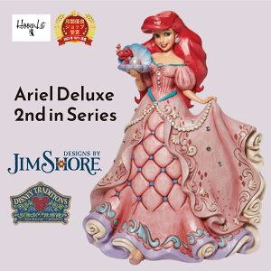 _IԗDǎܓX^ v[g Mtg fBYj[vZX AG fbNX fBYj[ l  ObY WVA g}[Ch tBMA u l` Ariel Deluxe f