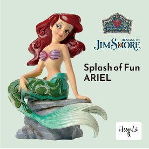 _IԗDǎܓX^ fBYj[ vZX Mtg v[g AG lP Ԃ fBYj[ tBMA l  l` u WVA ObY A Splash of Fun WVA 