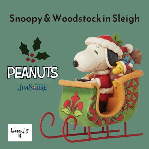 WVA NX}X T^N[X Xk[s[  EbhXgbN C XC Xk[s[ ObY EbhXgbN u tBMA AeB[N CeA  킢  Snoo