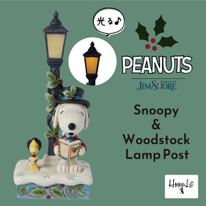 WVA NX}X Xk[s[  EbhXgbN Xg[gCg Xk[s[ ObY EbhXgbN u tBMA AeB[N CeA  킢  Snoopy & Woodstock