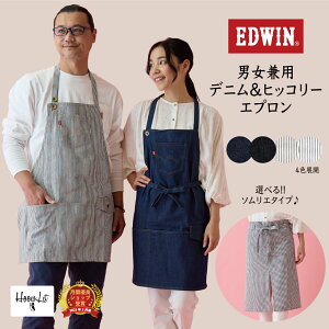 Gv EDWIN GhEB  fB[X 傫TCY Y fj uh lbN M\ \GGv jp qbR[ ۈm m fj Mtg v[g DIY 