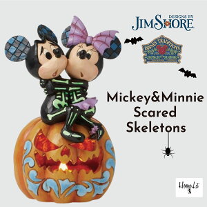 fBYj[ ~bL[~j[ XPA[h XPgY nEB  WVA tBMA u l` Mickey&Minnie Scared Skeletons fBYj[gfBVY JIM SHORE KAi