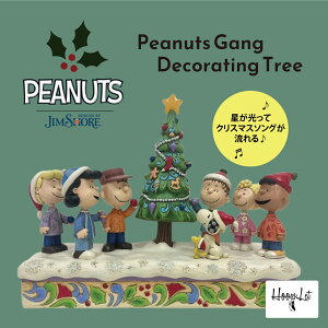WVA NX}X Xk[s[ s[ibcMO fR[Vc[ ObY EbhXgbN u tBMA AeB[N CeA  킢  Peanuts Gang Decorating Tr