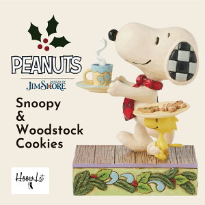 WVA NX}X Xk[s[&EbhXgbN NbL[ ObY EbhXgbN u tBMA AeB[N CeA  킢  Snoopy & Woodstock Cookies v[g Mt