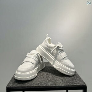 Y Xj[J[ V[Y gAbv Xg[g _bhXj[J[ \[ Y X|[c JWA V[Y 2024 bV ʋC zCg  g Abv