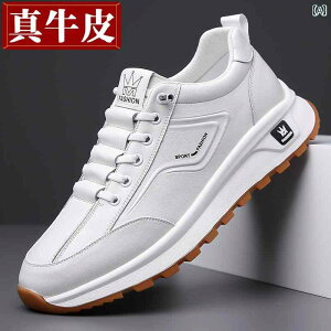 Y Xj[J[ V[Y gAbv Xg[g _bhXj[J[ \[ 2025 JWA U[V[Y Y v X|[c V[Y zCg ߂ s ʋC  C 