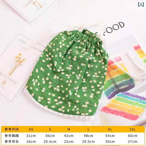 q Lp ėp xXg hXB t`uhbO R[M[ efBxA ViEU[Ȃ ^  ^ pB