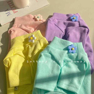 n CO Vc   ybg L efB rV  J[ |jA