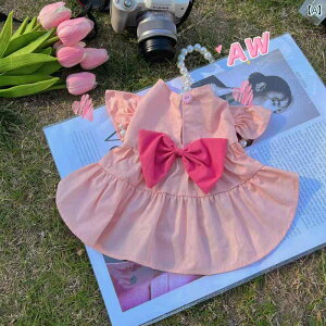 AW ؍ t rV efB  XJ[g { ʋC ybg n L 