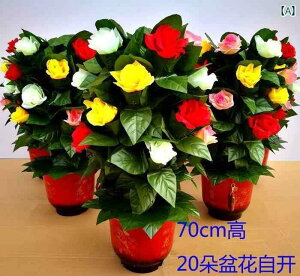 J[h Q[ v[g frbh }WbN A Ԃ I 10 [gRg[  EFfBO 肢 ؂ J܂     炭