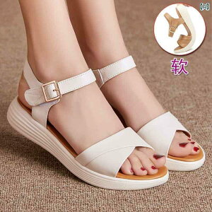  T_ fB[X v \tg \[ }U[ T_ p 2024 tbg\[   U[T_ 傫TCY