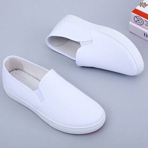 Xb| Xj[J[ fB[X fB[X   C 2025 H~ N  g LoX V[Y  Xebv Ɍ p