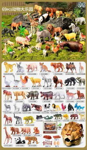 q tBMA  qp V~[V  Tt@ Ԃ 12 t@[ Zbg   Fm j̎q