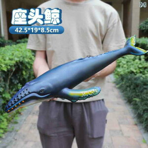 tBMA   tBMA  V~[V UgENW \tg O[ Cm  C   T CJ qւ Mtg