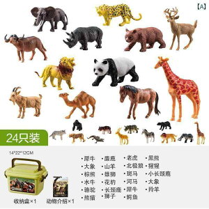 tBMA  qp  V~[V  j̎q   E ~j l` Zbg ̎q 1 2 Ԃ