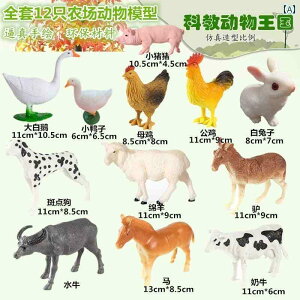 tBMA  qp ͌^    1 ` 3 Ԃ _  쐶  j̎q