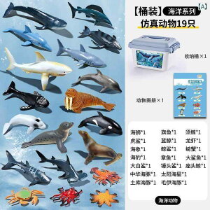 tBMA  T CJ yM NWȂǂ  E  q Ԃ F  Cm  V~[V 