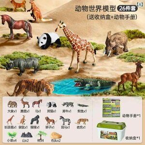 tBMA  x  qp ͌^    Zbg Fm j̎q ߋ