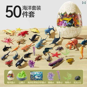 tBMA  2025NV qp  Cm   3 ` 6 vCnEX j̎q lbg V~[V 