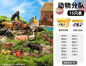 tBMA  qp  \tg S  13 Fm V~[V  Zbg j̎q ̎q S f