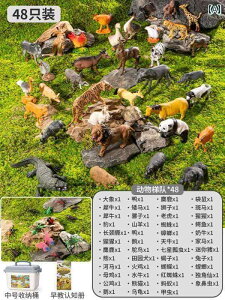 tBMA  qp V~[V   j̎q ̎q  E [ Fm Ԃ  ߋ Zbg