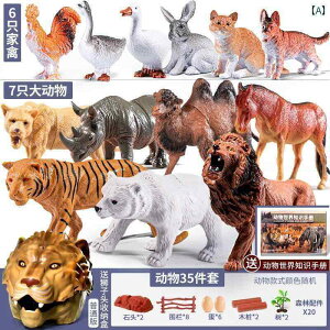 tBMA   qp V~[V  쐶  xr[ t@[ Zbg   Fm j̎q ̎q Mtg