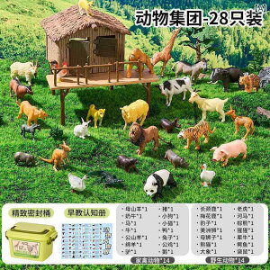 tBMA  q  V~[V  1΂ Ԃ  Ƃ ł Fm  1  j̎q 2 pY 3 _