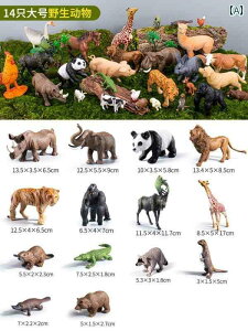 tBMA  qp V~[V     _ t Zbg c  j̎q Ԃ ̎q m