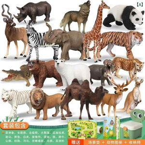 tBMA  v[g V~[V   Zbg  Cm 쐶  Fm  j̎q ̎q q Mtg