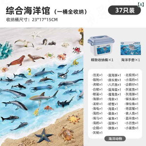 tBMA  v[g hCc Cm   13 Ԃ   V~[V 47΂ q wI a v[g