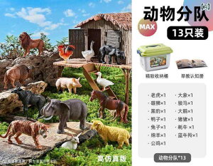 tBMA  v[g hCc q V~[V     Zbg Ԃ Fm 쐶  E _ t