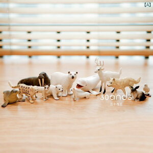 tBMA  v[g V~[V  qp \bh  j̎q ̎q   Zbg Ԃ 쐶  Cm X