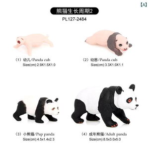 tBMA  v[g V~[V   TCN 5ނ JG { Cm  q Ȋw  ߋ