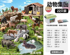 tBMA  v[g  qp V~[V    Zbg Ԃ Fm 1 쐶  2 E t _