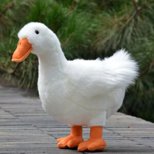 l` tBMA 킢 V~[V Aq ʂ l` 킢  34Z`  Aq Mtg