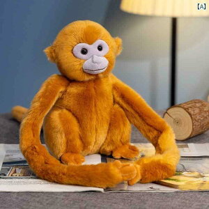 l` tBMA 킢 V~[V S[f T l` ʂ    yY q Ԃ 